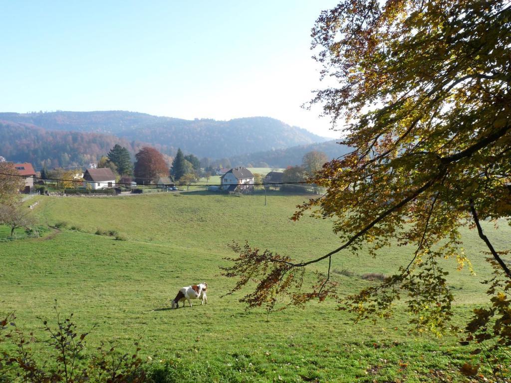 Апартаменты Locations Dupertuis Alsace Ле-Овальд Номер фото