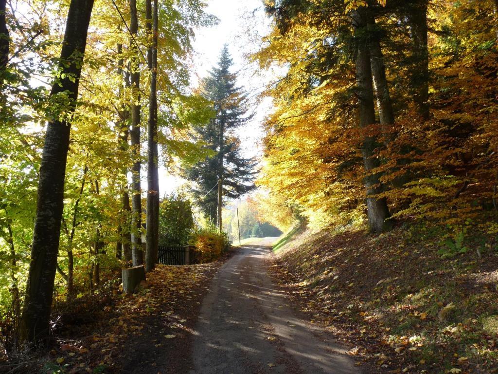 Апартаменты Locations Dupertuis Alsace Ле-Овальд Экстерьер фото